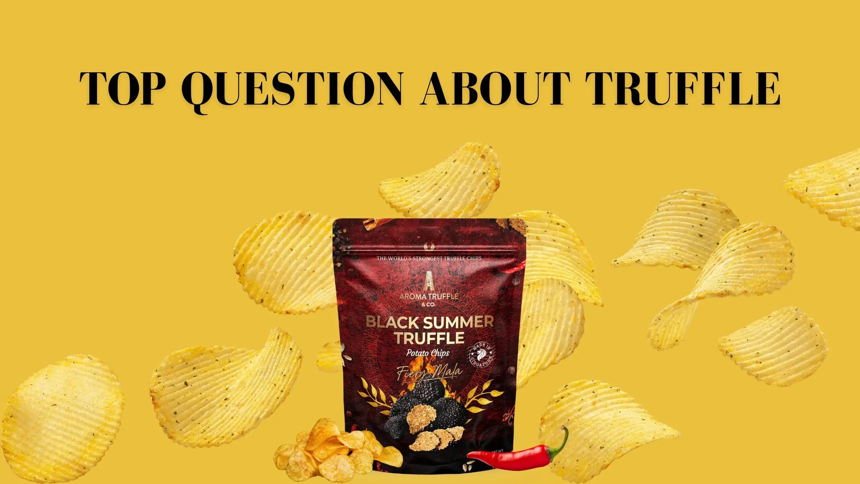 Top Questions We Get Asked About Truffle - Aroma Truffle