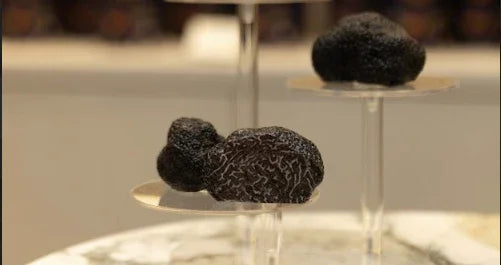 black truffle on glass