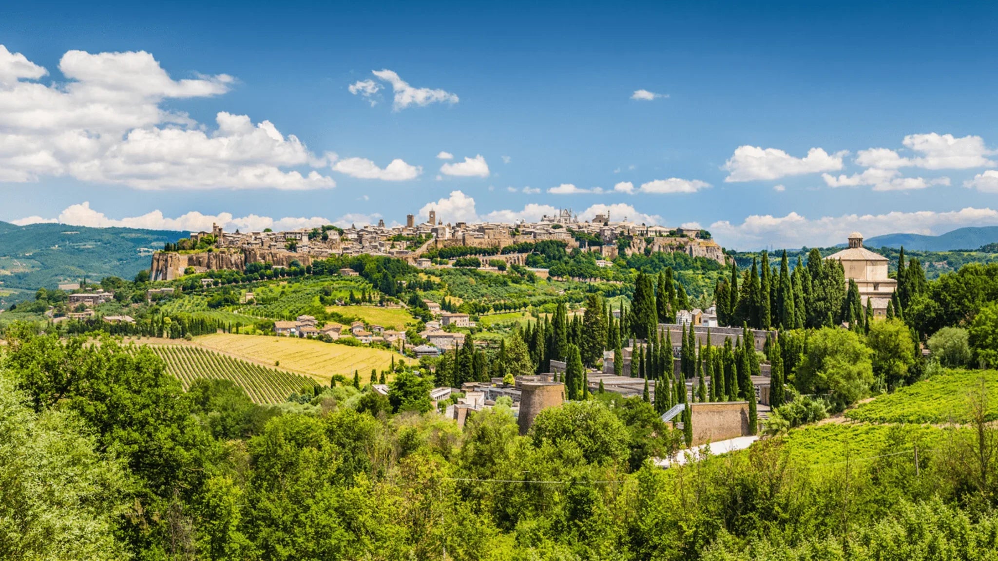 Discover the Origin of Our Truffles: Spoleto, Italy Truffle Farm - Aroma Truffle