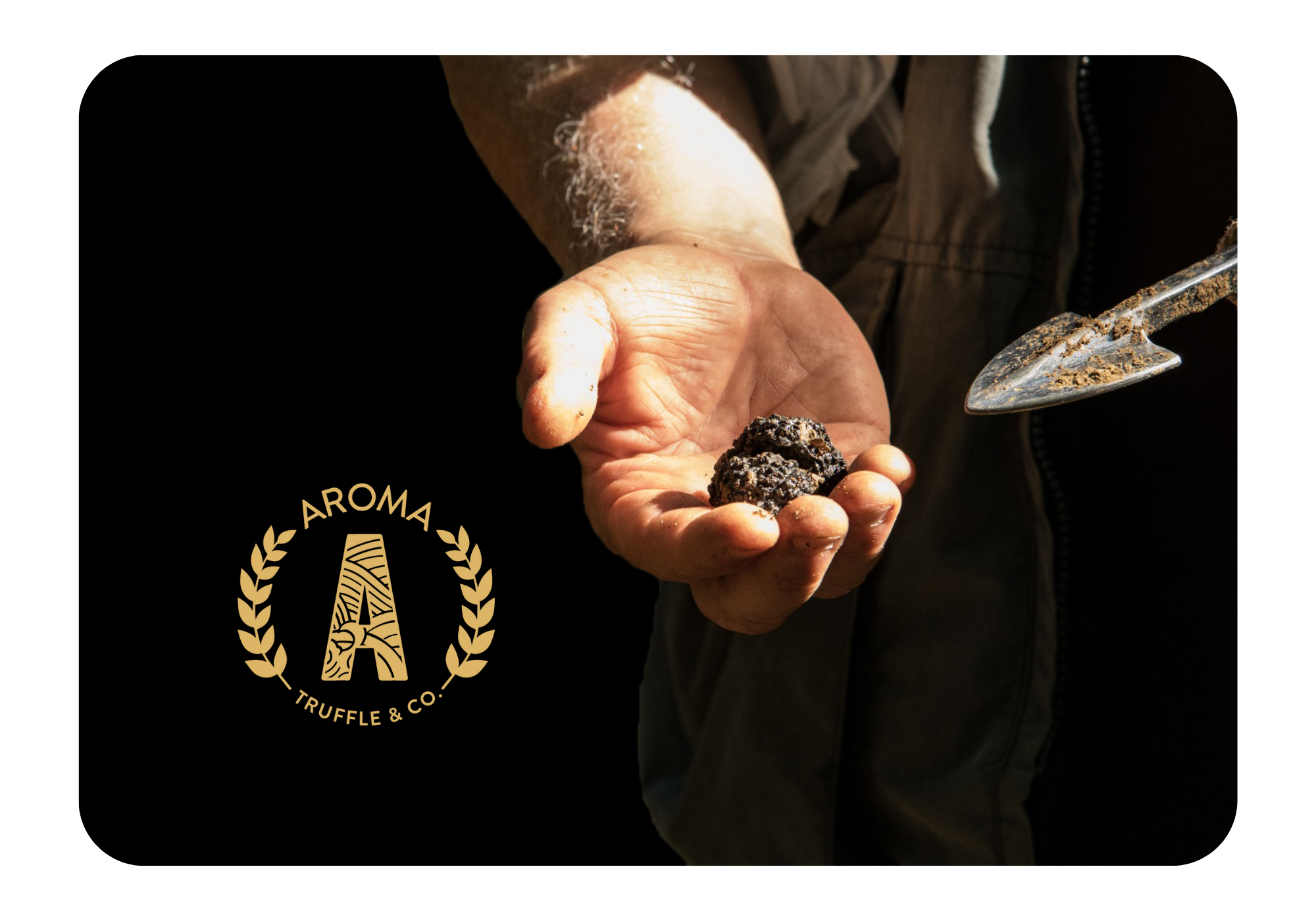 truffle in hand