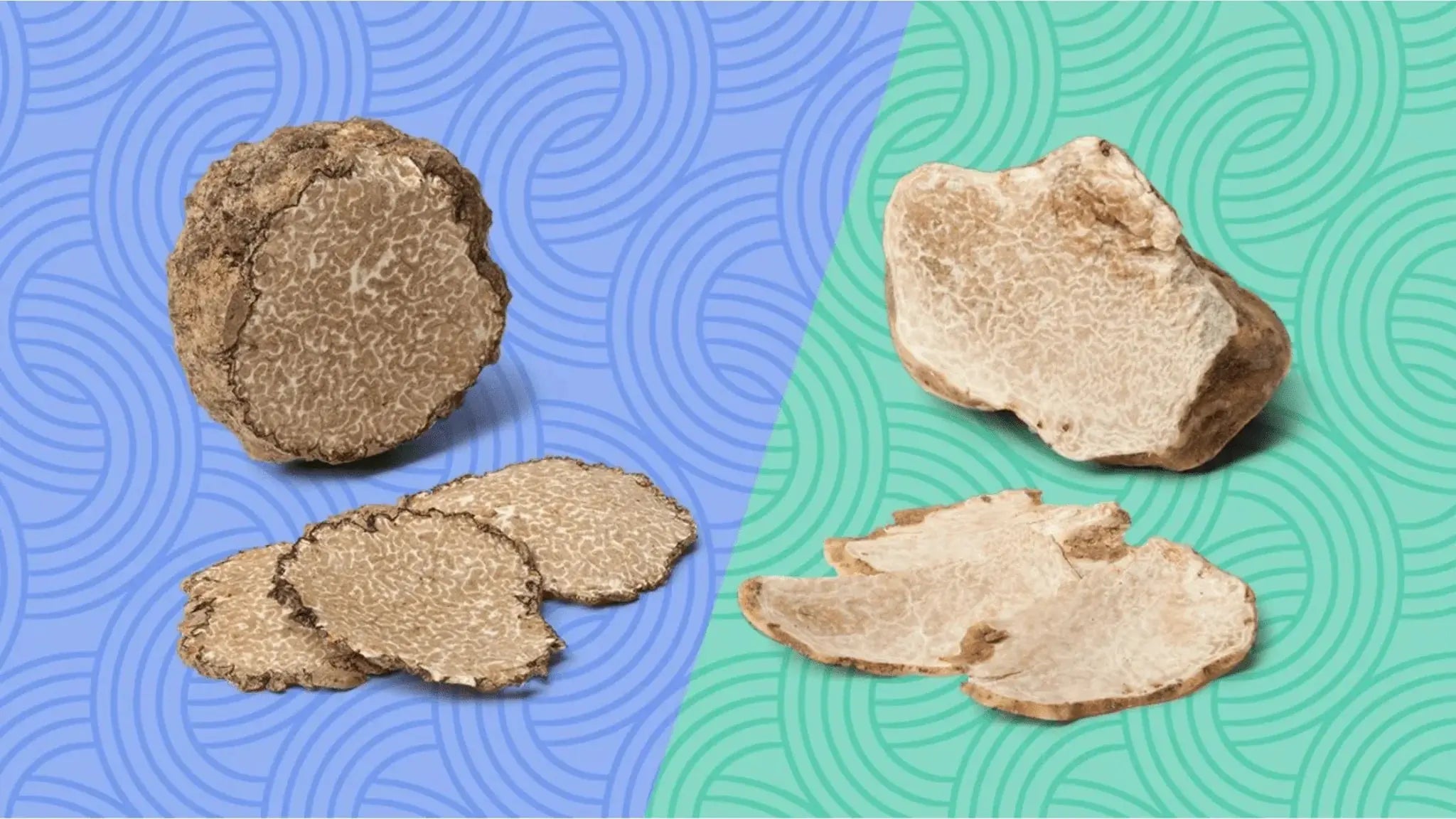 Black vs. White Truffles: Understanding the Key Differences - Aroma Truffle