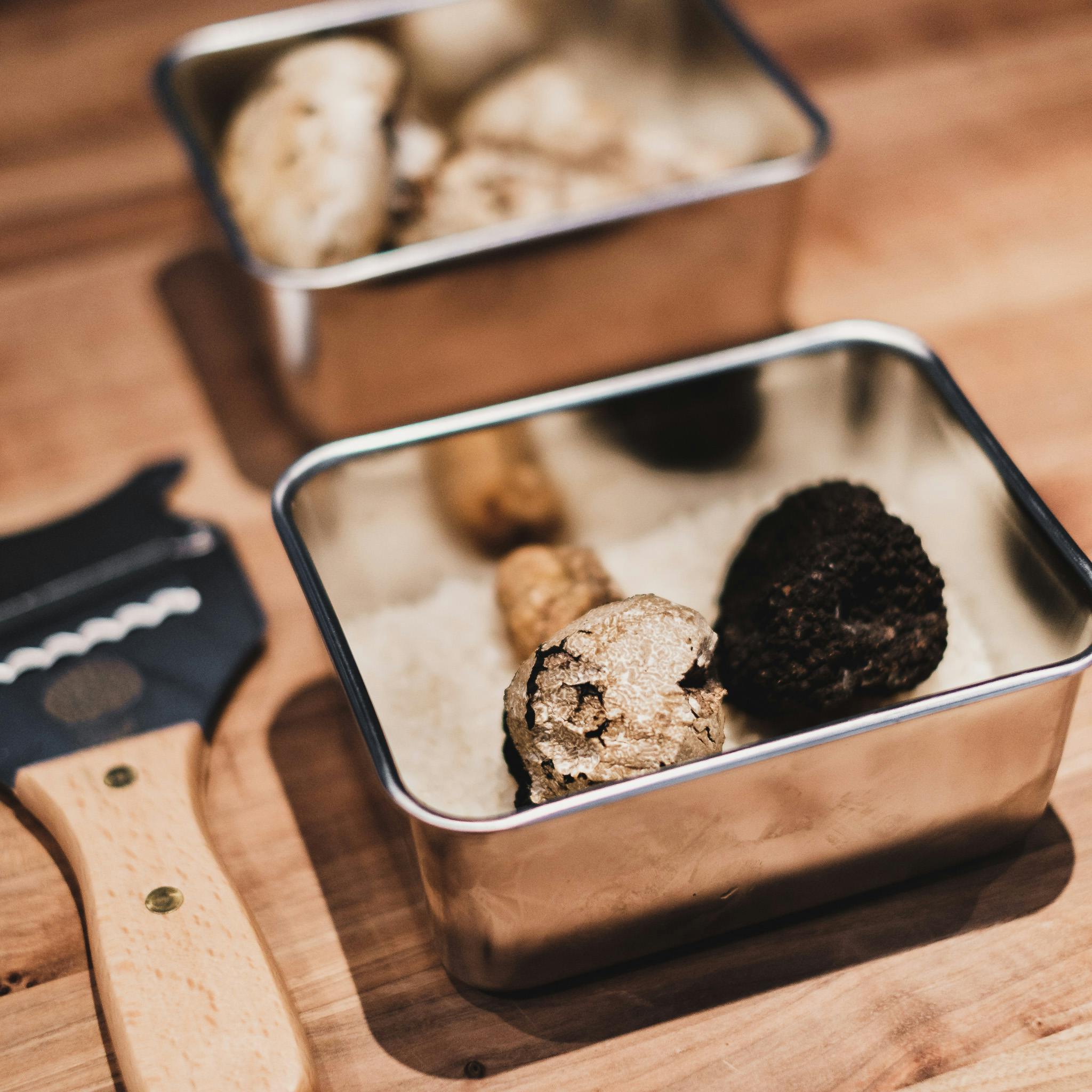 White Truffle vs Black Truffle: What’s the Difference?