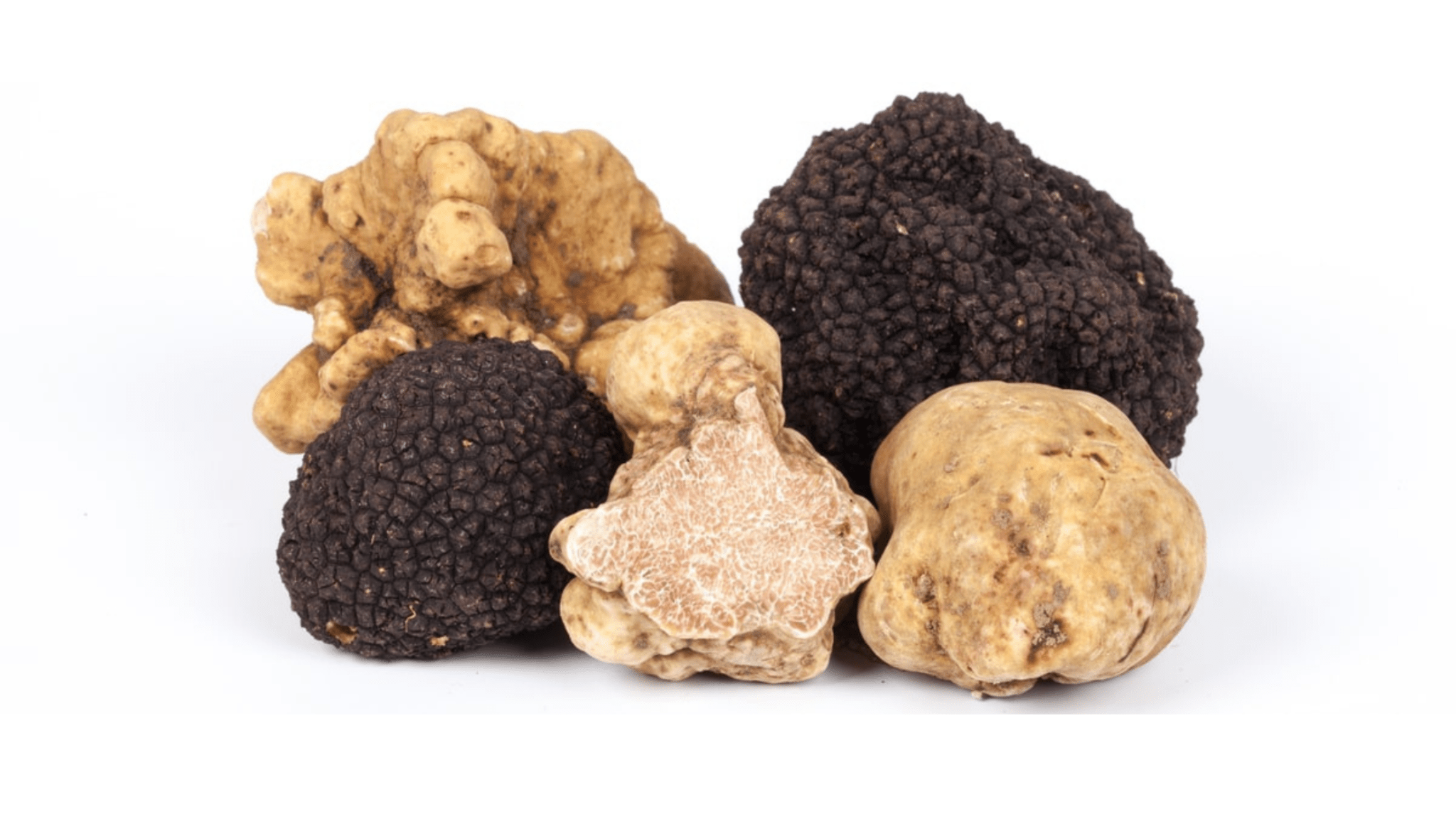 What Are the Different Types of Truffles? - Aroma Truffle