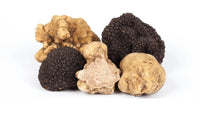 What Are the Different Types of Truffles? - Aroma Truffle