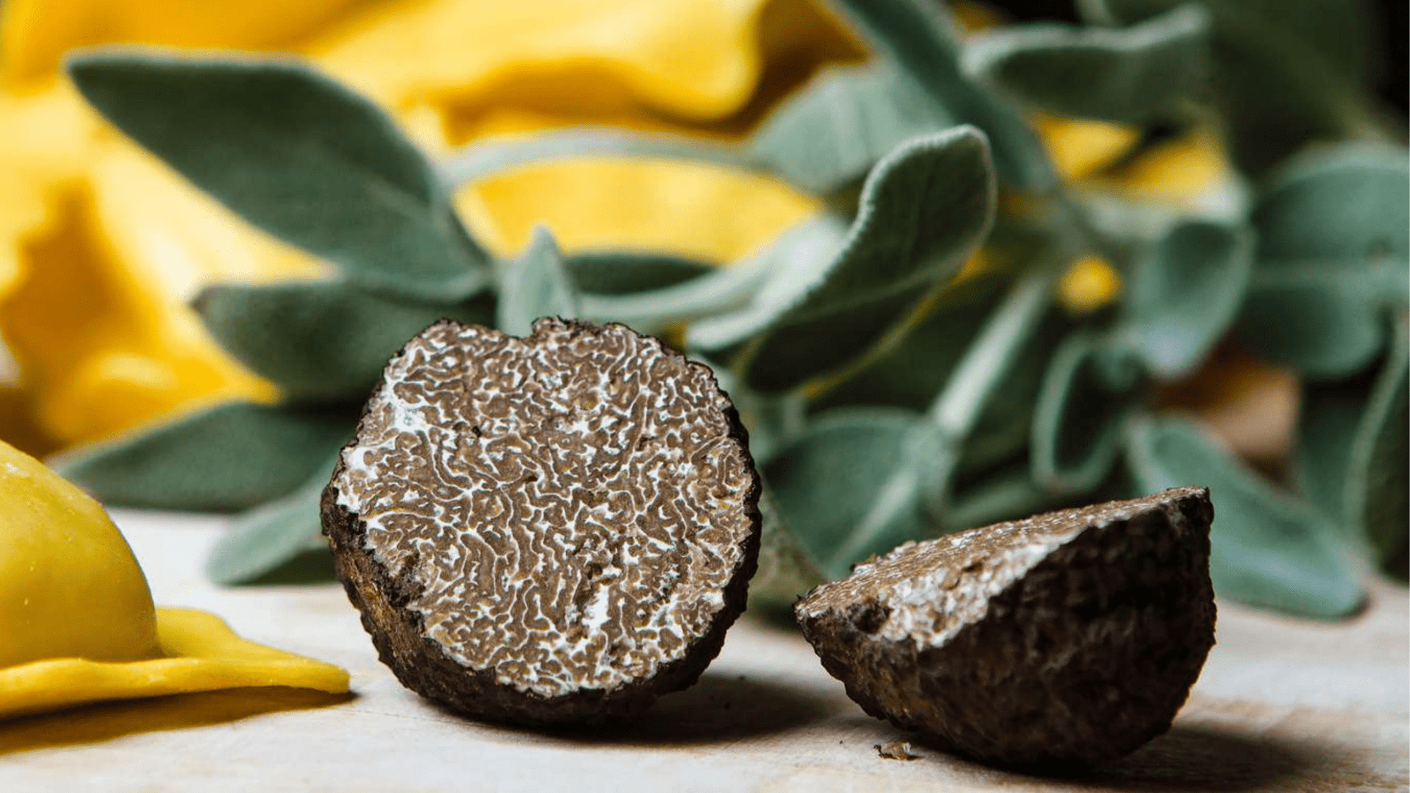 What Are the Different Types of Truffles?