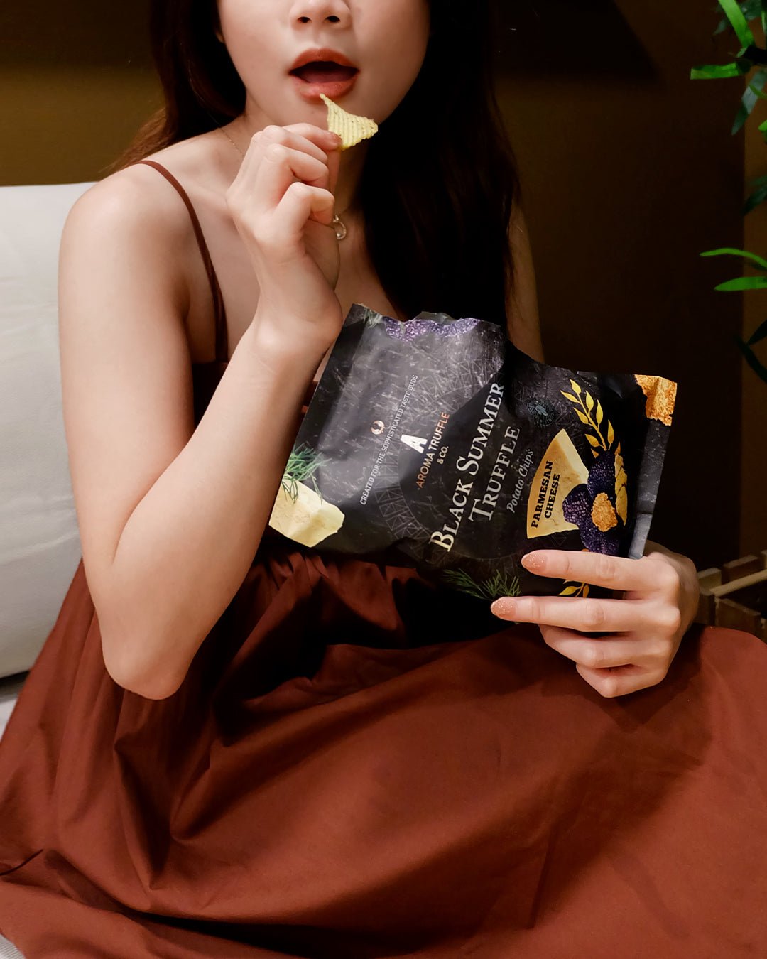 Black Summer Truffle Chips - Parmesan Cheese (45g) - Aroma Truffle